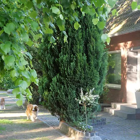 Am Schloss